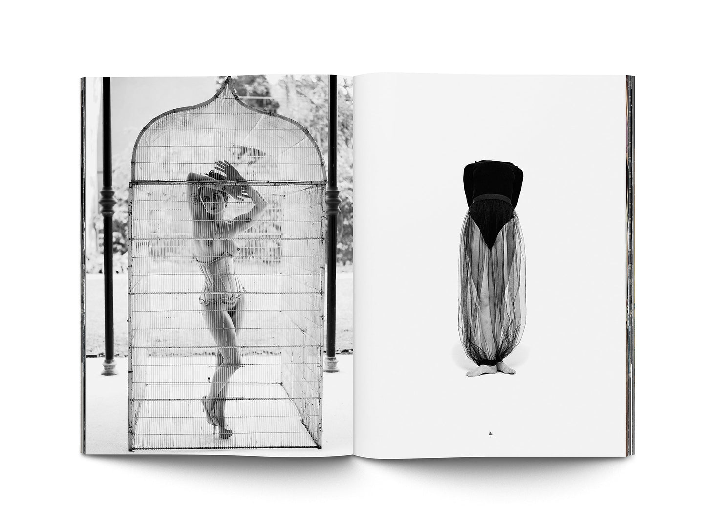 Book Desnorte - Commemorative Edition