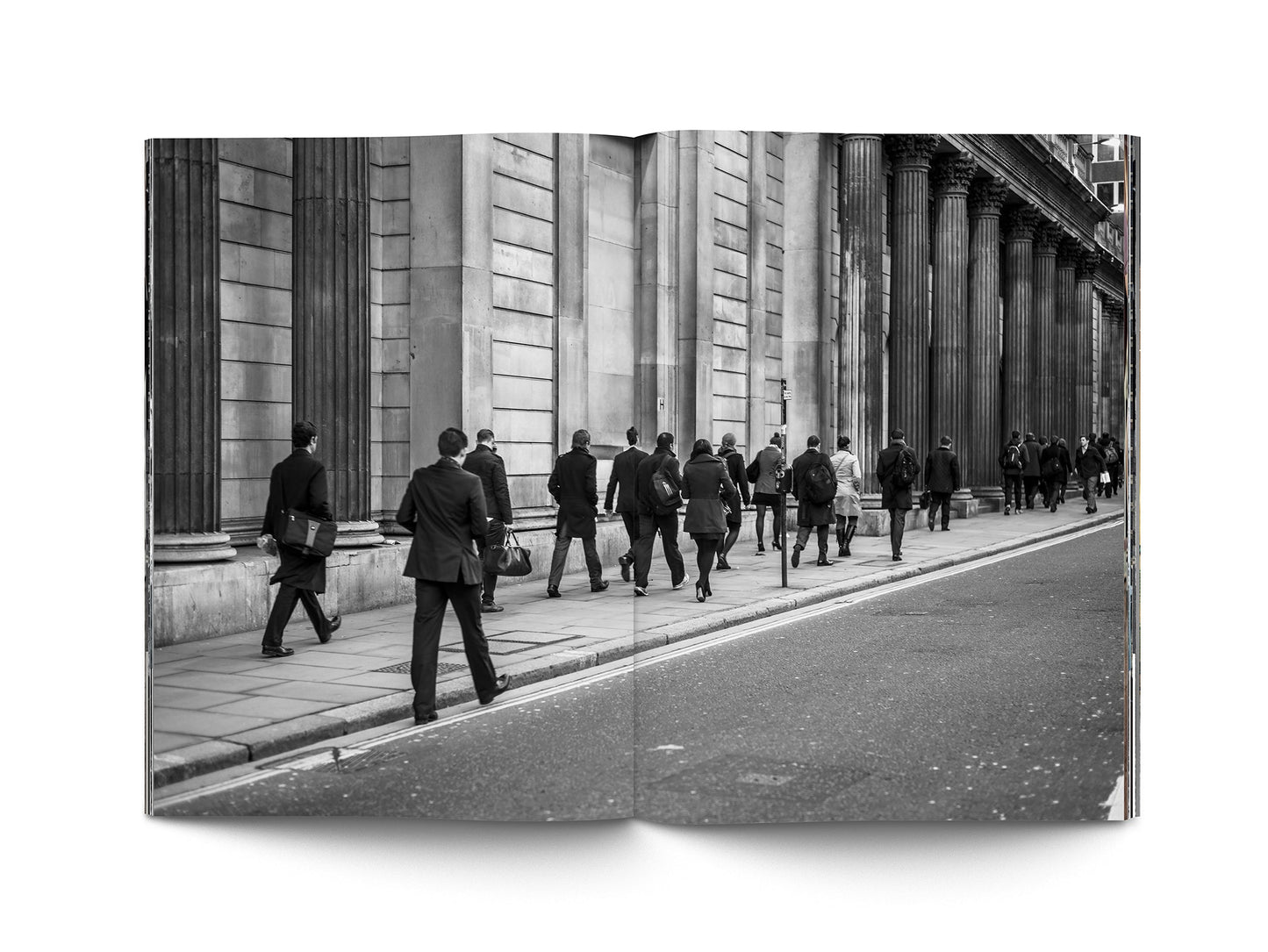 Book Desnorte - Commemorative Edition