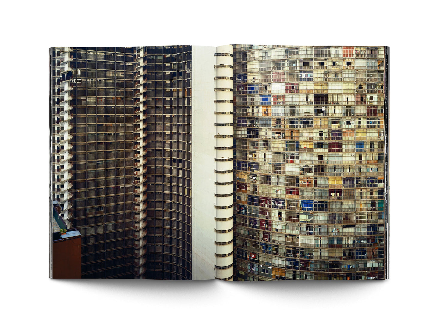 Book Desnorte - Commemorative Edition